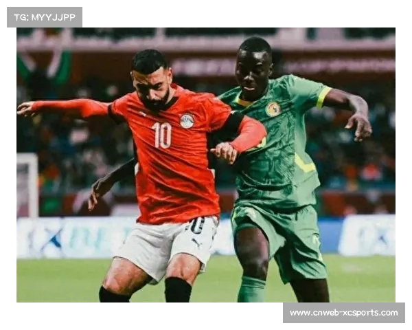 塞内加尔球迷尝试冲场，非洲杯决赛一度中断